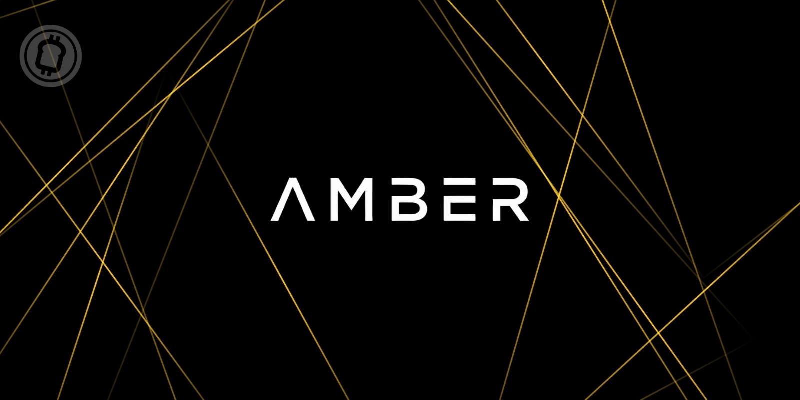 Amber Group voit sa valorisation atteindre 3,5 milliards de dollars après une nouvelle levée de fonds