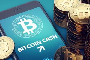 Bitcoin Cash Miner controló el 50% de la tasa de hash – cryptoast