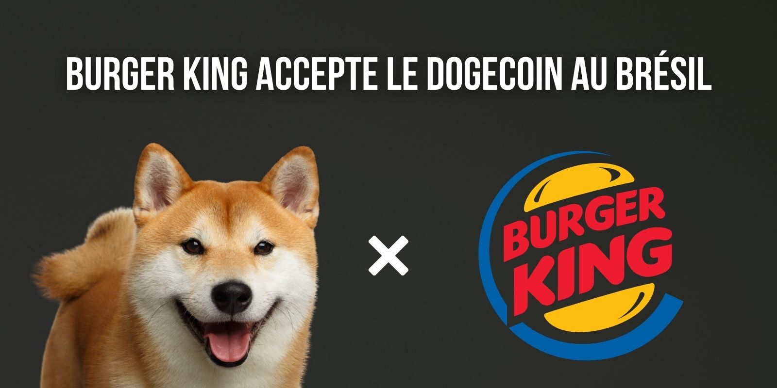Burger King accepte le Dogecoin (DOGE) au Brésil... pour de la nourriture pour chiens